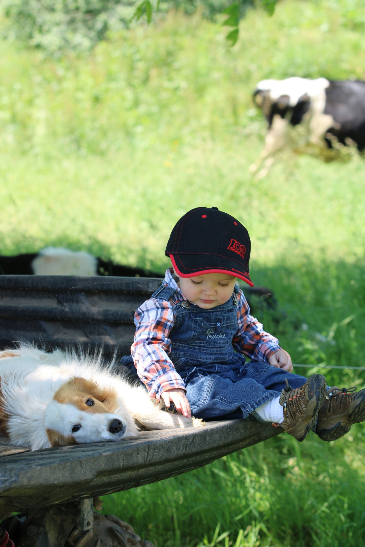 Fridge Gallery Set-Pack of 9-Personalized 2.25" Magnet or Button